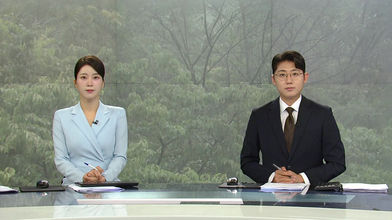 뉴스특보
