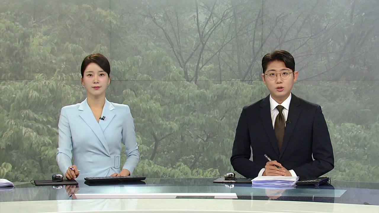 뉴스특보