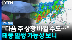 "다음 주 상황 바뀔 수도..." 태풍 발생 가능성 보니 [Y녹취록]