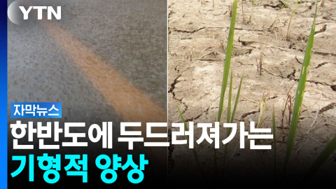 장마라더니 여긴 왜?...한반도에 나타난 기형적 기상현상 [자막뉴스]