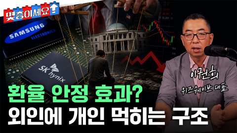 해외도 있고 환율 위해서라고? 삼전닉스 레버리지 왜 독 됐나 [몇층이세요]