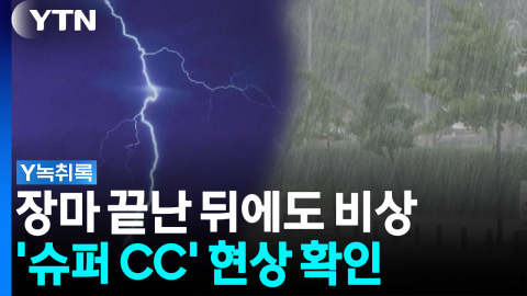 심상치 않은 바다...'슈퍼 CC' 현상 확인 [Y녹취록]