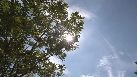 낮 최고 39.3℃ 기록 경신…이 시각 경남 양산