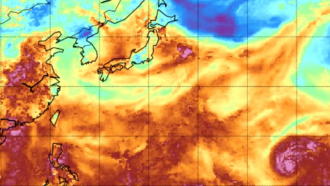 "결국 넘은 40℃의 벽"…폭염, 아직 정점 아니다