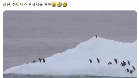 \'삼전닉스\'는 어쩌다 \'베팅 대상\'이 됐나