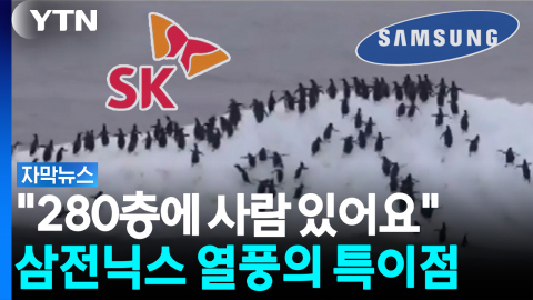 베팅했다가 피눈물...'삼전닉스'의 두 얼굴 [자막뉴스]