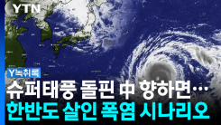 태풍 '돌핀' 中 향하면...한반도 '최악의 폭염' 시나리오 [Y녹...