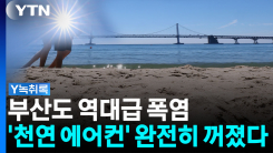 '천연 에어컨' 완전히 꺼졌다...부산도 역대급 폭염 [Y녹취록]