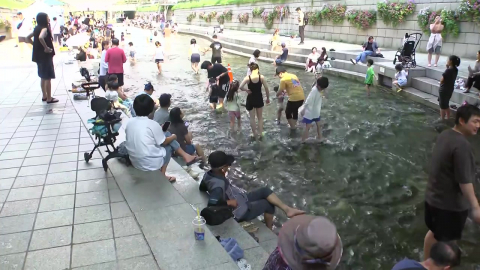 밤에도 체감 30℃, 더위 피해 물가로 …다음 주 수도권도 '더위 비상'
