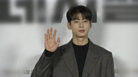 '130억 세금' 차은우, 조세심판 청구..."법률적 판단 받겠다"