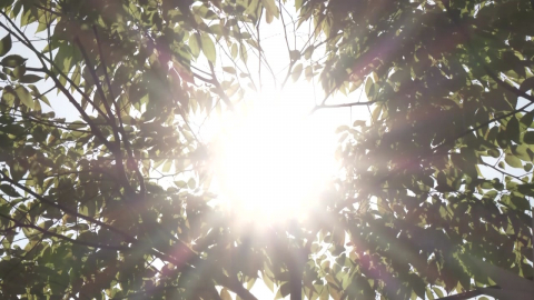  양산 사흘째 기록 경신...낮 최고 42.1℃