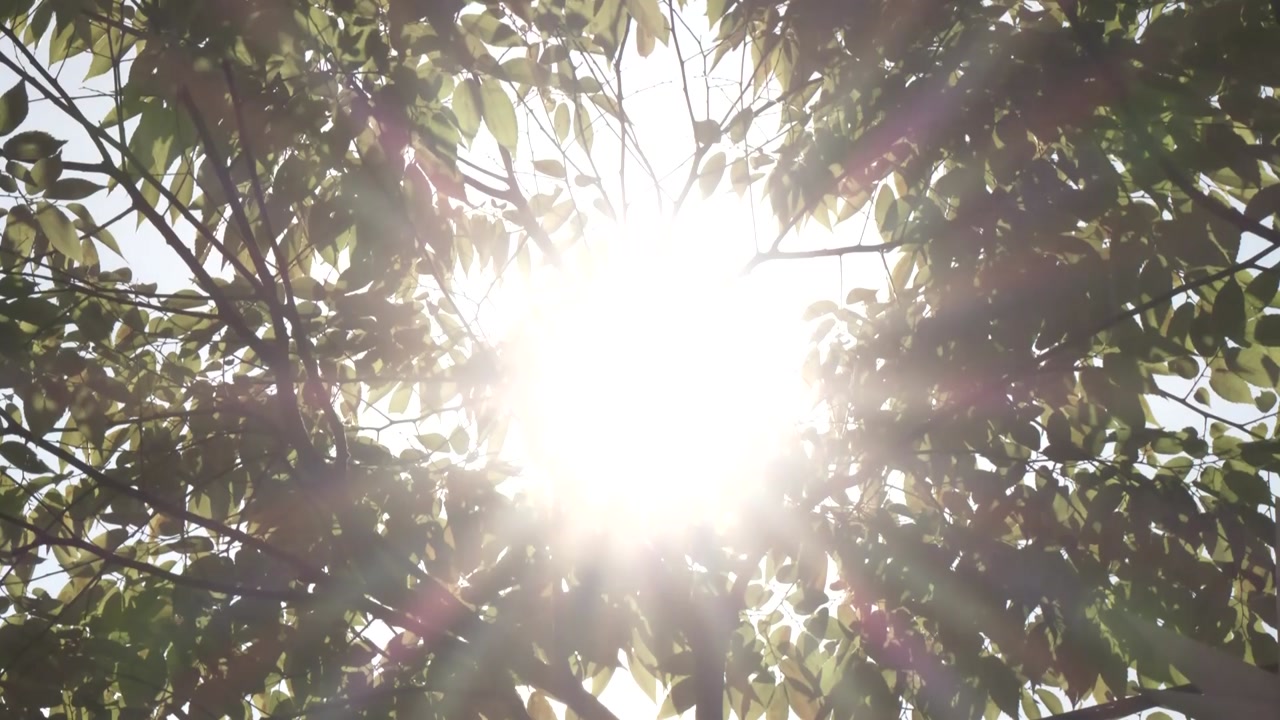 양산 사흘째 기록 경신...낮 최고 42.2℃