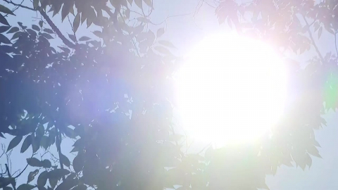  어제 전국 온열질환자 96명↑...사망자 수 늘지 않아