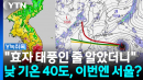 한반도 용광로로 만드나...태풍 '돌핀' 방향 보니 [Y녹취록]