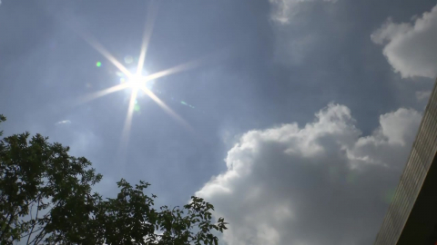 [날씨] 서울 36℃ 올여름 최고 경신…이제 수도권 '극한 폭염'