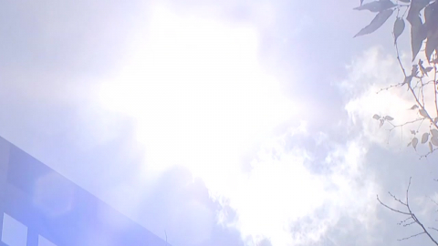  밀양 41℃·의령 40.8℃...오늘도 영남 곳곳 40℃ 돌파