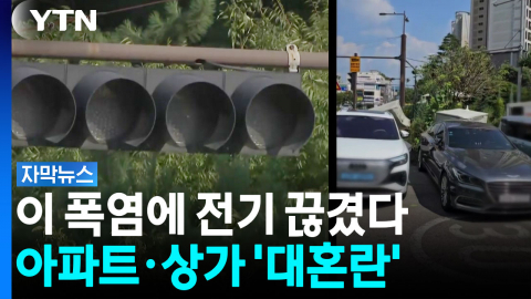 신호등도 멈추며 일대 '대혼란'..."내 식재료!" 아찔했던 자영업자들 [자막뉴스]