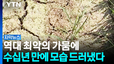 수십 년간 물에 잠겼던 마을이...최악의 가뭄이 불러온 상황에 입이 '떡' [자막뉴스]