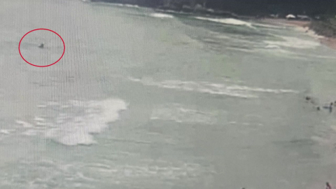 피서 절정기, 수난사고 잇따라…바다 \'안전\' 주의