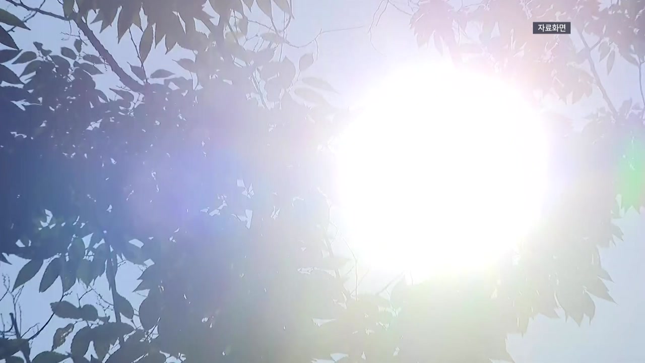 전국 온열질환자 198명 발생...올해 두 번째 높은 수치