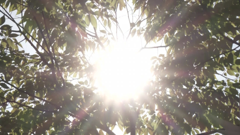 서울 곳곳 39℃ 안팎…수도권 '중대경보' 확대