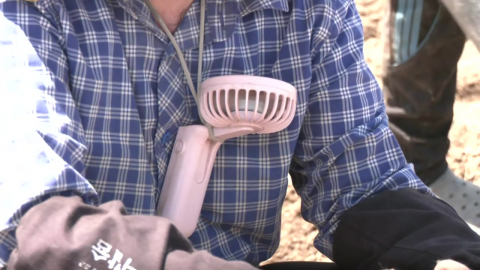 온열질환자 하루 2백 명 육박...누적 사망자 지난해보다 많아