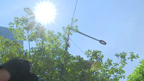 [날씨] 수도권 '폭염 중대경보' 더위 절정...서울·여주 39℃