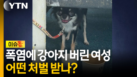 폭염에 강아지 버린 여성...어떤 처벌 받나? [이슈톺] 