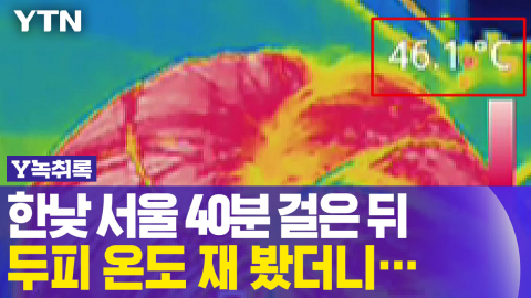한낮 서울 40분 걸은 뒤, 두피 온도 재 봤더니...[Y녹취록]