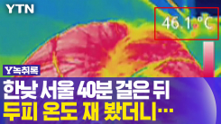 한낮 서울 40분 걸은 뒤, 두피 온도 재 봤더니...[Y녹취록]