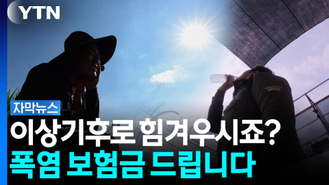 지금까지 이런 보험은 없었다. 이것은 복지인가, 보험인가 [자막뉴스]