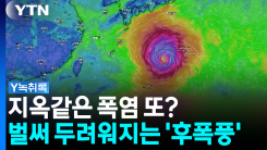 '돌핀' 중국 상륙, 끝 아니다...벌써 두려워지는 시나리오 [Y녹...