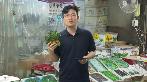폭염에 가뭄까지…"시금치 구하기도 힘들어"