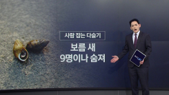 보름 새 9명 숨졌다...사람 잡는 '다슬기' [앵커리포트]