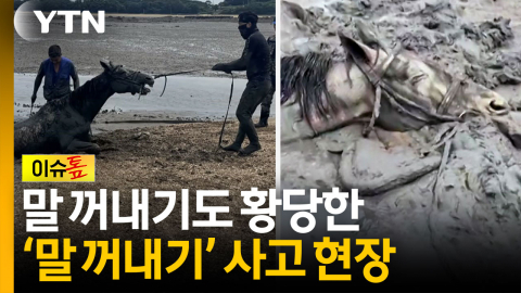 말이 안 나오는, 아니 말 나오는 사고 현장;; [이슈톺]