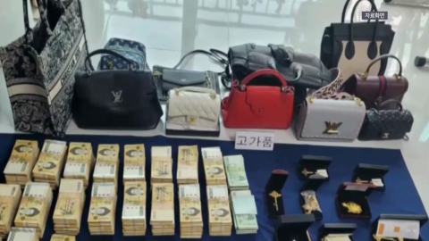 초고액 체납자 '재산추적·세무조사' 전담팀 신설…"반사회적 탈세·체납 근절"