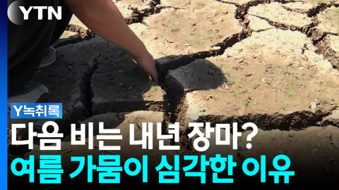 "다음 비, 내년 장마 기약해야"...여름 가뭄이 심각한 이유 [Y녹취록]
