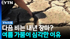 "다음 비, 내년 장마 기약해야"...여름 가뭄이 심각한 이유 [Y...