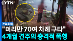 70여 차례 구타 당한 강아지..."교육 목적, 학대 아냐" [Y녹취록]