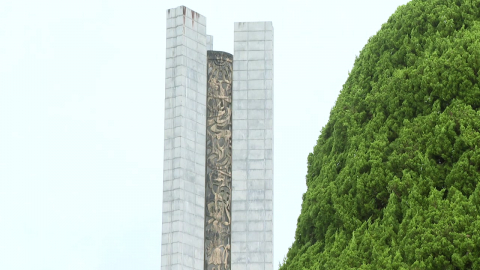 대전현충원에 일제 보급 향나무…"수목 교체 검토"
