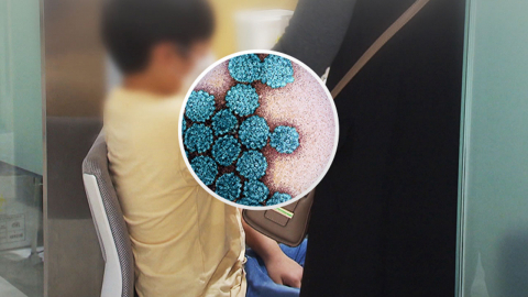 12세 남아 HPV 무료접종 10%대…"어릴 때 맞으면 이득"