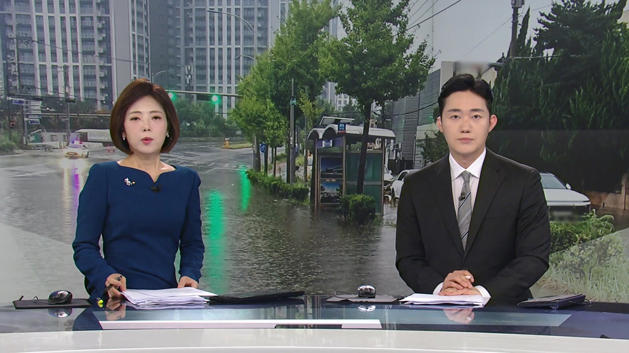 뉴스특보