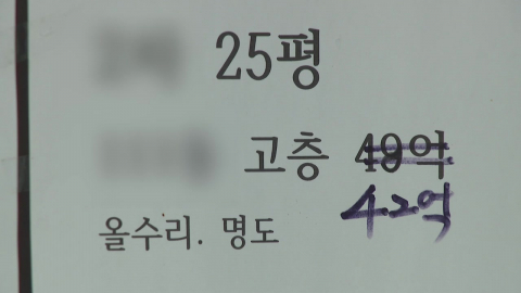강남 호가 \'뚝뚝\'…중저가 풍선효과 \'지켜봐야\'