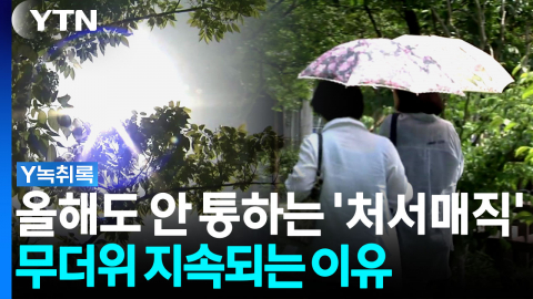 올해도 안 통하는 \'처서매직\'…비 온 뒤에도 찜통인 이유 [Y녹취록]