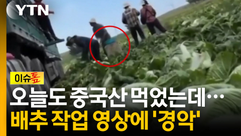 중국산 배추 화물차 옆 '충격적 물체'...영상 공개되자 '발칵' [이슈톺]