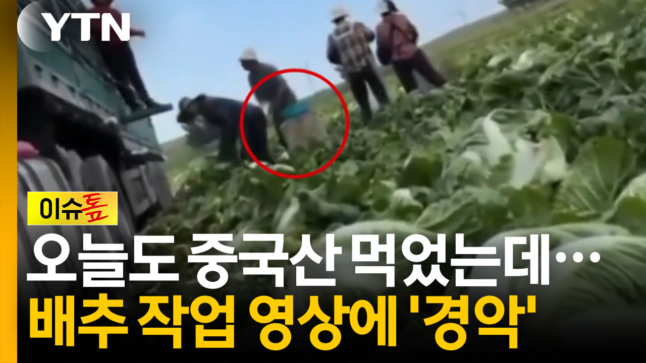 중국산 배추 화물차 옆 '충격적 물체'...영상 공개되자 '발칵' [이슈톺]