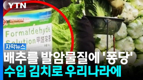 중국 뒤집은 '발암물질 배추', 우리나라는 안전? [자막뉴스]