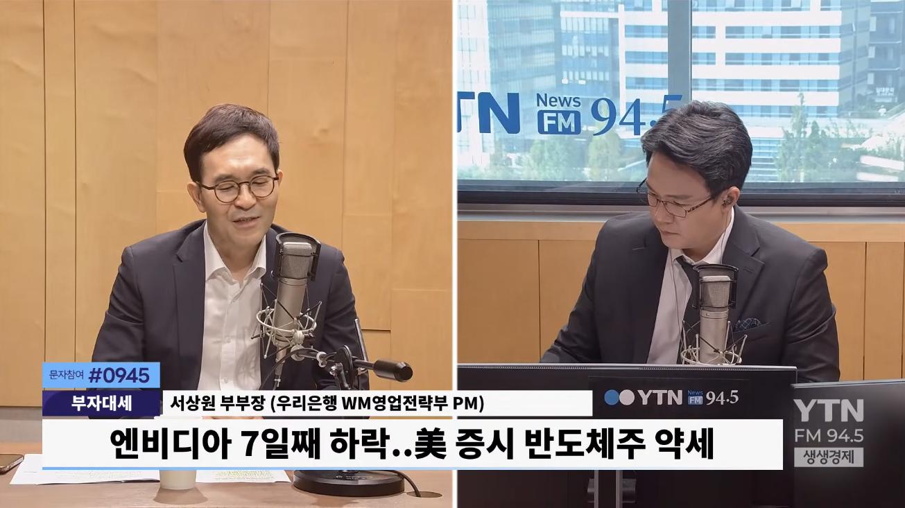 "어떤 약발이 먹힐까..'미운 오리새끼'된 반도체?"