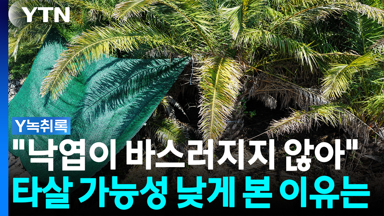 "낙엽이 바스러지지 않았다"...경찰이 타살 가능성 낮게 본 이유 [Y녹취록]