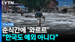 "먼 나라 이야기 아니다"...우리도 대비해야 할 대형 재난 [Y녹...